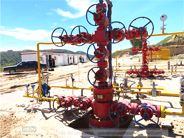 Christmas trees, wellhead assemblies and BOP_001.png